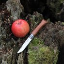OPINEL Tradizione Lusso No.08 bugylibicska - Diófa - 002022
