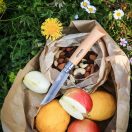 OPINEL N°.8 bugylibicska Inox