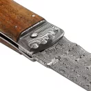 MIKOV Predator Jaguar Ambonia rugós bicska