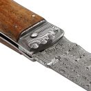 MIKOV Predator Jaguar Ambonia rugós bicska - 241-DD-1