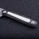 REAL STEEL Dex Apex CF Frame fixpengés kés