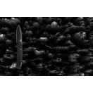 BENCHMADE Bugout Vapyr Black Aluminium zsebkés - 534BK