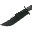CONDOR Operator Bowie