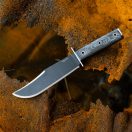 CONDOR Operator Bowie