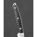 BESTECH Heidi 14C28N Satin Black G-10 Trailing Point fixpengés