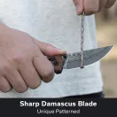 CIVIVI Noctis Damascus Guibourtia Wood Handle zsebkés