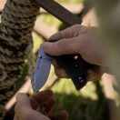COLD STEEL Engage 2,5" zsebkés - CS-FL-25DPLC