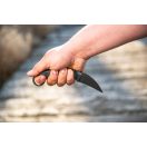 TOPS Devils Claw karambit 